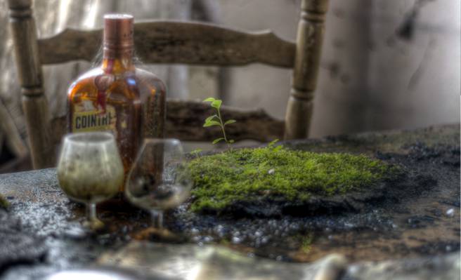 瓶,桌子,苔藓