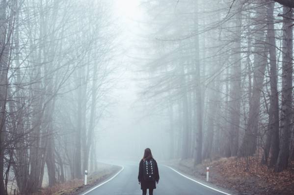 穿黑夹克的女人站在高大的光秃秃的树木所包围的混凝土路中间,雾覆盖着高清壁纸