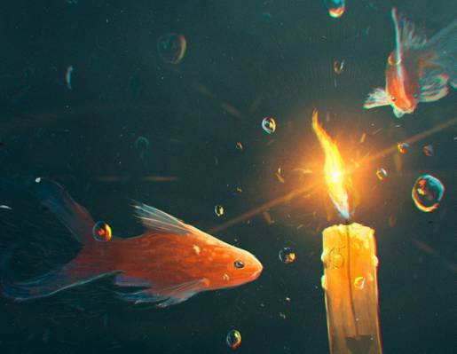 光,鱼,蜡烛,水下,气泡