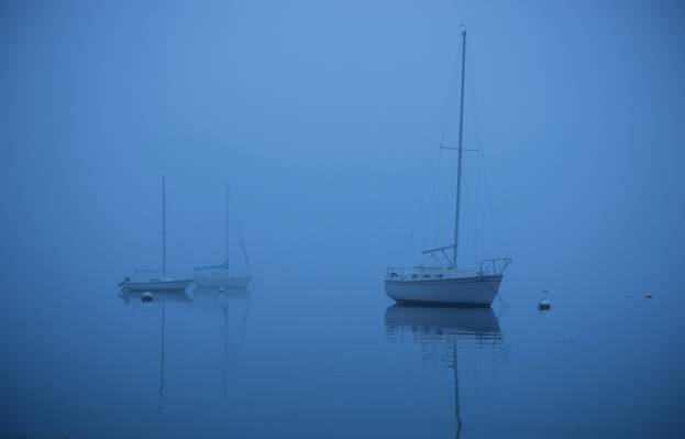 雾,海,船,游艇
