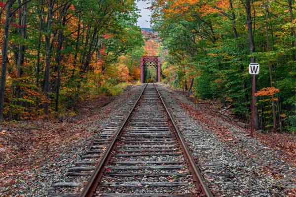 壁纸秋天,森林,铁路
