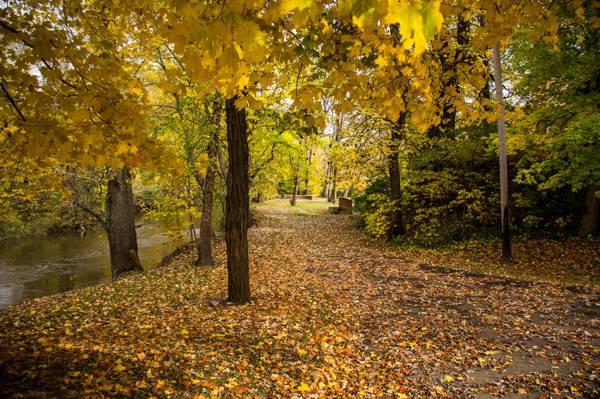 壁纸秋天,公园,树木,长凳,池塘,叶子