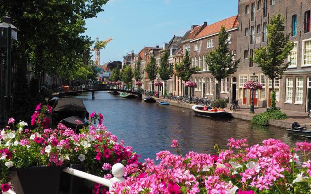 鲜花,街,荷兰,桥,花,河,南荷兰,长廊,建筑,家,小船,荷兰,街道,...