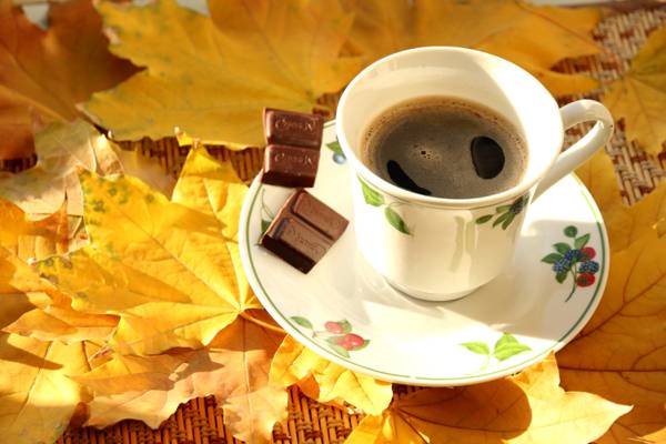 杯,巧克力,枫叶,咖啡,秋天,树叶
