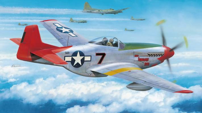 航空,二战,绘画,艺术,在塔斯基吉航空兵,P  -  51 D野马,飞机,战争