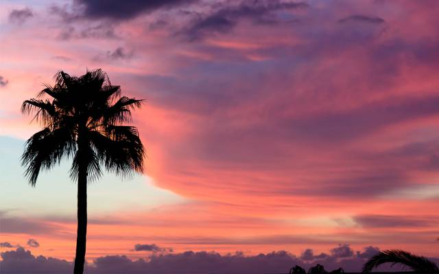 油漆,特内里费岛,特内里费岛,粉红色,日落,帕尔马,天空,云,日落