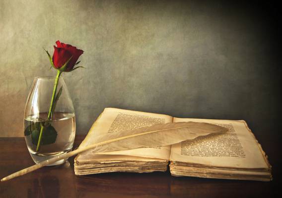 花瓶,笔,表,老,红色,本书,玫瑰