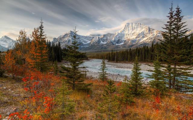 山,贾斯珀国家公园,阿尔伯特,阿萨巴斯卡河,加拿大,十月,秋天,森林