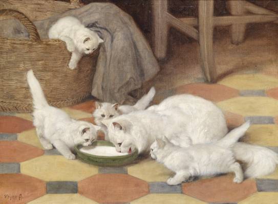 猫,图片,艺术,小猫,母亲和小猫喝牛奶,阿瑟·海尔,家庭,蓬松,白色