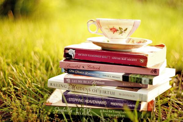 飞碟,草,书籍,杯子