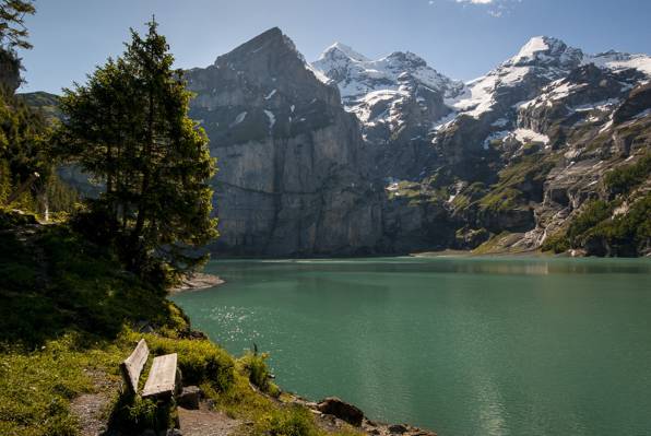 瑞士,湖,山,瑞士,长凳,树木