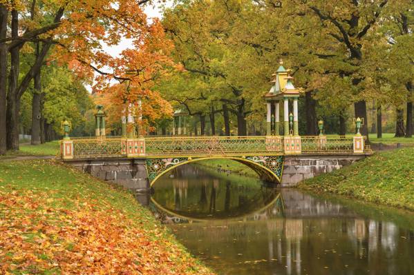 秋天,公园,普希金,桥,圣彼得堡,树木,池塘