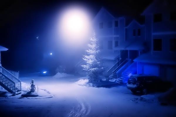 雪人,光,雪,围场,树,冬天,机器,灯笼