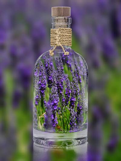 在玻璃小瓶的紫色pallled花高清壁纸