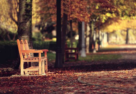 街,长凳,秋天,城市