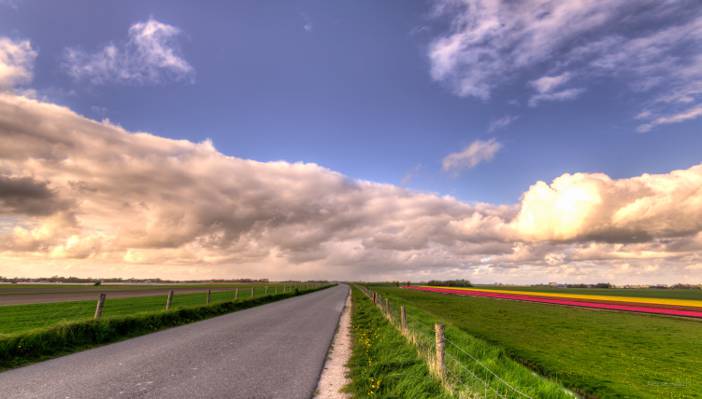 绿色的田野高清壁纸包围的道路风景摄影