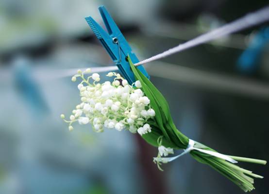 绳子,晒衣夹,春天,白色,蓝色,花卉,兰迪斯