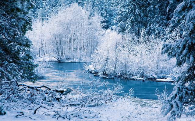 自然,树木,河流,冬天,森林,雪
