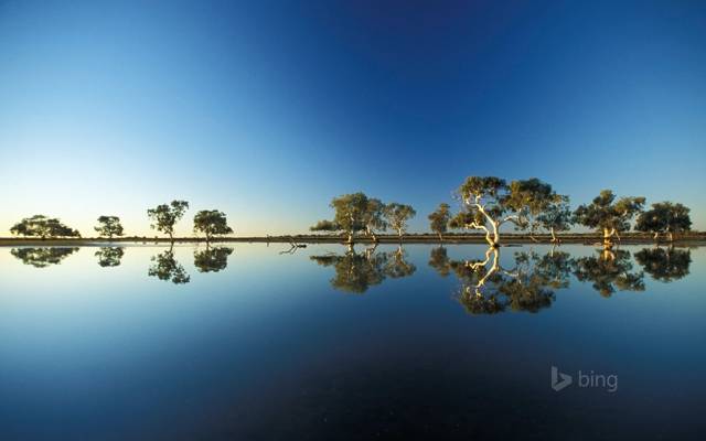 澳大利亚,水,倒影,天空,树木,溢出