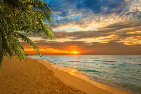 海,日落,帕尔马,海滩,加勒比