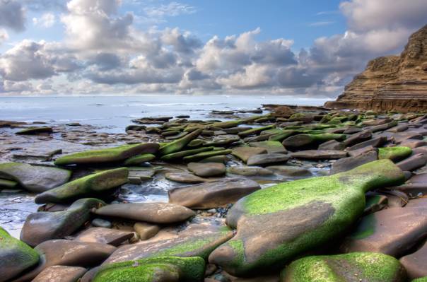 早晨高清壁纸在海边的绿色和棕色的岩石