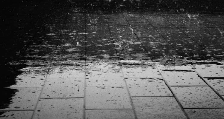 下雨季节高清壁纸的灰度照片