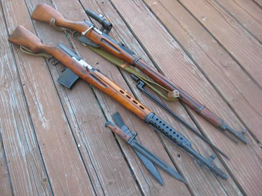刺刀,正常,步枪莫辛纳甘,SVT-40,莫辛纳甘,狙击手,自动装弹步枪托卡列夫