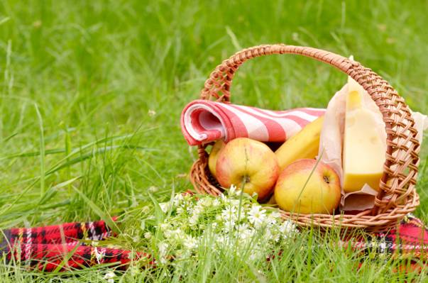 鲜花,桌布,草,林间空地,奶酪,绿色,夏天,野餐,香蕉,苹果,篮子