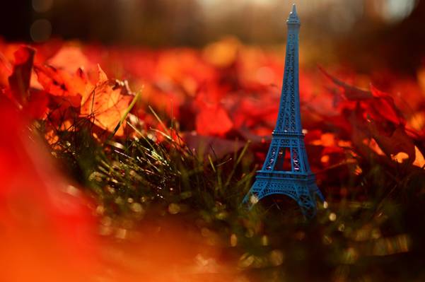 自然,巴黎,法国,法国,叶子,埃菲尔铁塔,秋天,叶子,巴黎,秋天,草,艾菲尔铁塔,草,...
