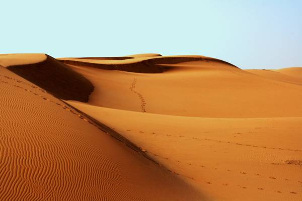 航拍照片撒哈拉沙漠高清壁纸