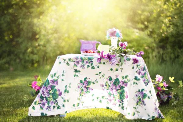 白色和紫色桌布上花园高清壁纸