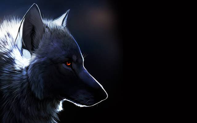 琥珀色的眼睛,黑色的背景,狼