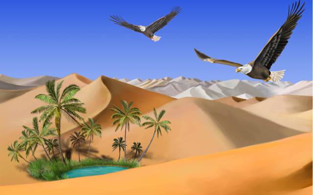 老鹰,棕榈树,湖,飞行,绿洲,沙漠,沙子