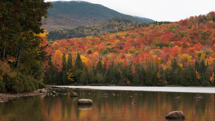 秋天,树木,湖泊,山脉,森林