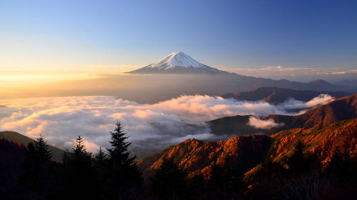 富士山,早晨,光,日本,stratovolcano,秋天,富士山,本州岛