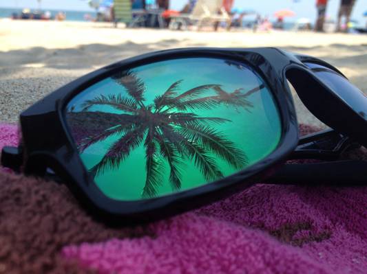眼镜,反射,海滩,帕尔马