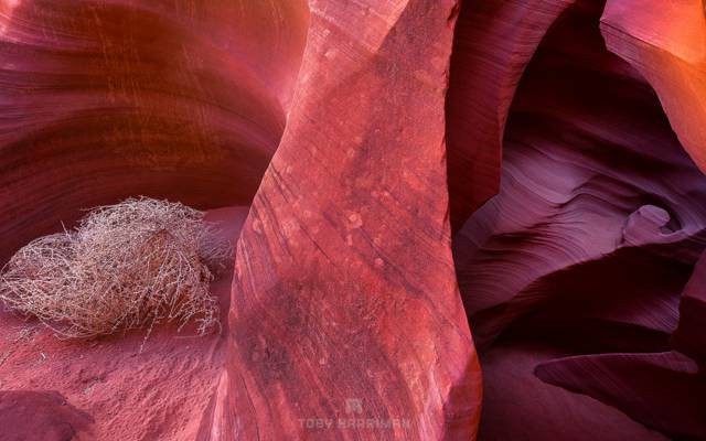 岩石,羚羊峡谷,纹理,AZ,美国