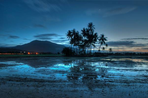 山,棕榈树,马来西亚,反射,光,蓝色,灯,晚上,水,天空,耶里,云,...  - 