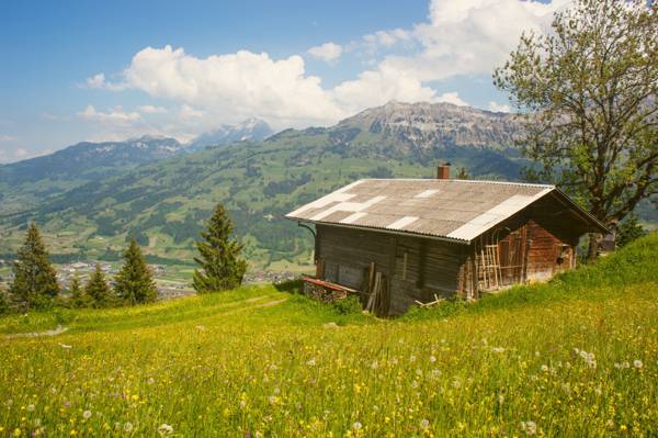 在清澈的蓝天白天高清壁纸期间绿草草地上的棕色木barnhouse