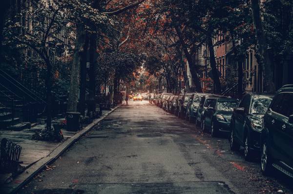 出租车,房屋,人,出租车,汽车,秋季,美国,城市景观,城市场景,纽约,街道,日常...