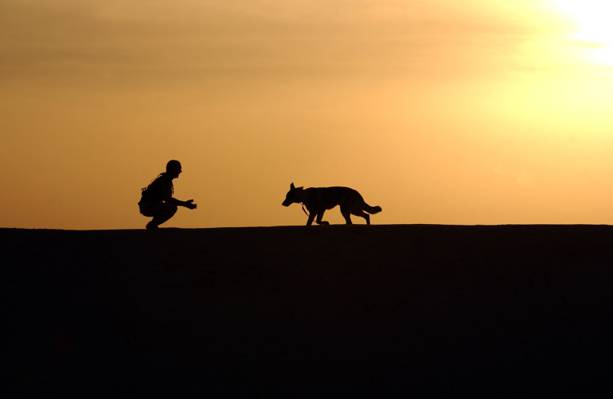 狗和一个人在日落期间高清壁纸的剪影