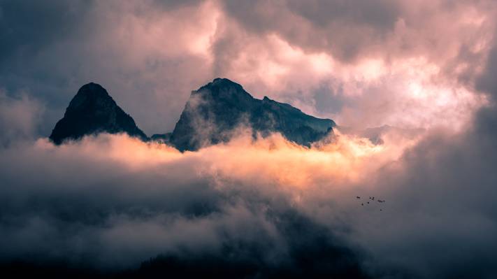 在白天,罗马尼亚高清壁纸拍摄的雾山照片