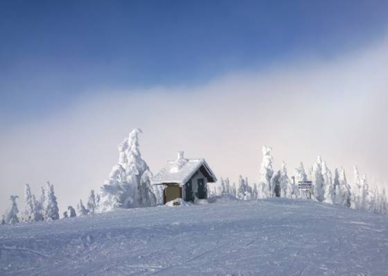 冬天的天气房子被树木包围,tod山高清壁纸