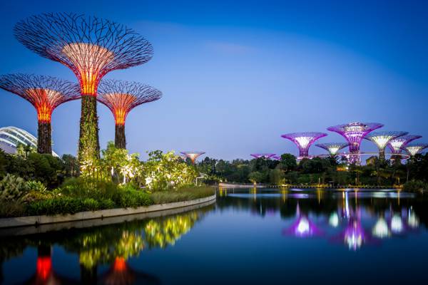 设计,花园,新加坡,水,晚上,灯,滨海湾花园,湾,灌木,树木,...