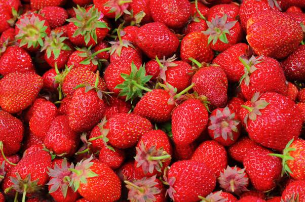 成熟的草莓高清壁纸