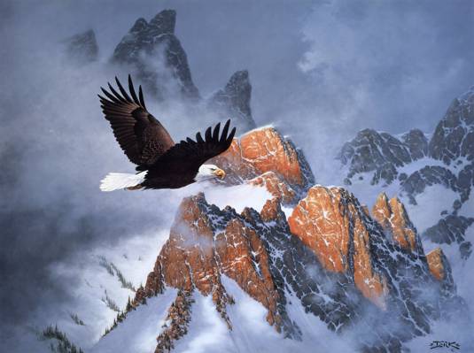 山上的火,飞行,雪,山,冬天,鹰,绘画,秃鹰,Derk Hansen,云