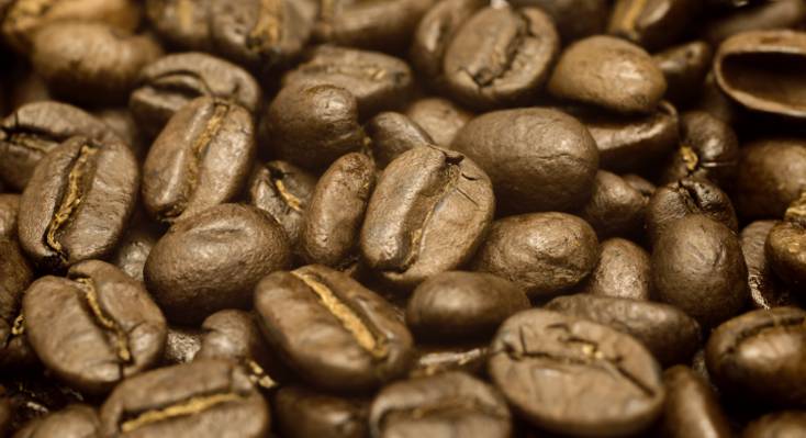棕色的咖啡豆高清壁纸