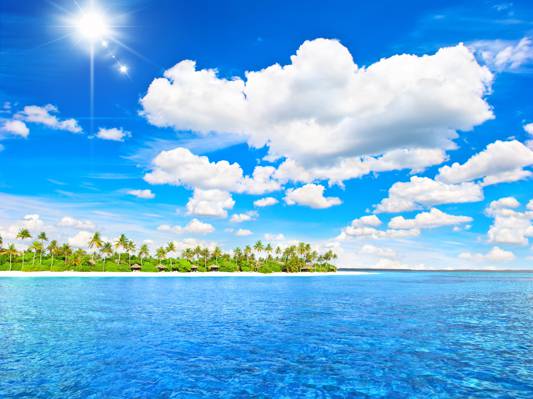 棕榈树,天堂,度假,岛,棕榈树,阳光,海滩,海,海,夏天,热带,海洋,热带地区