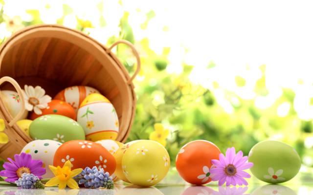 鲜花,假日,kosmeya,薰衣草,复活节,鸡蛋,复活节,水仙花,复活节,篮子,春天