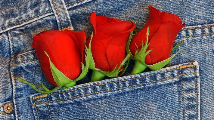 玫瑰,花束,牛仔裤